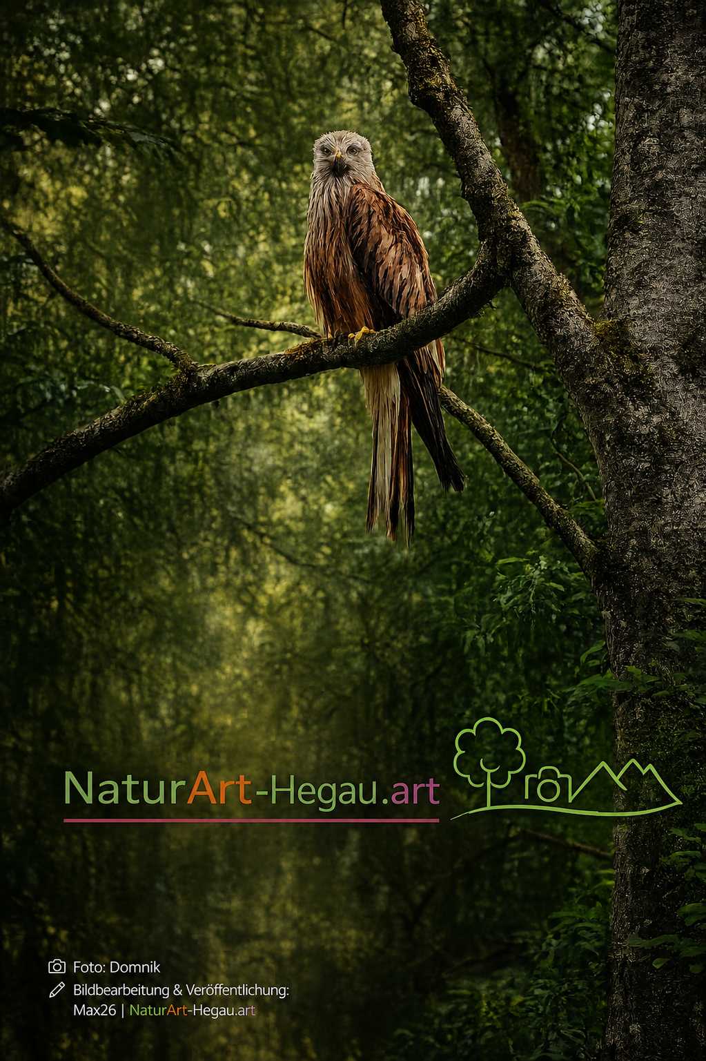 Naturgrundstück 17